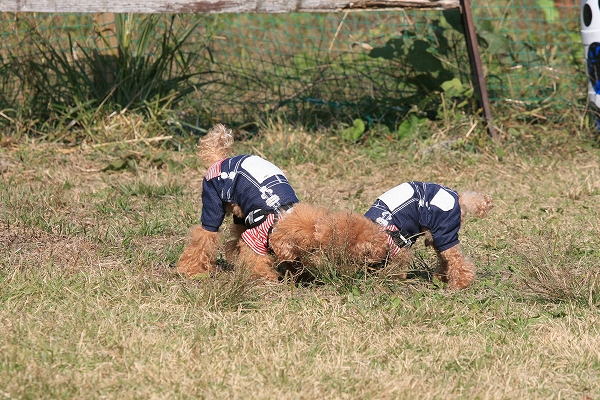 20131125-5.jpg