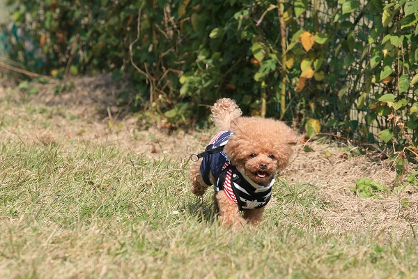20131125-6.jpg