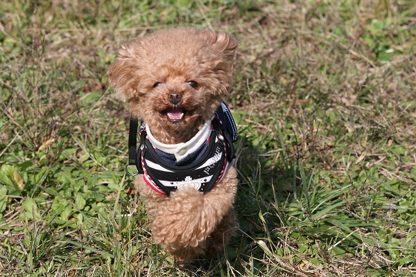 20131125-7.jpg