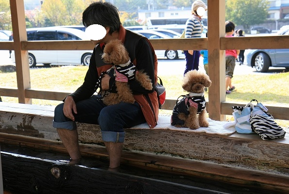 20131127-15.jpg