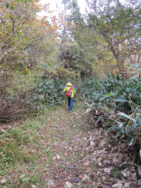 20131127-16.jpg