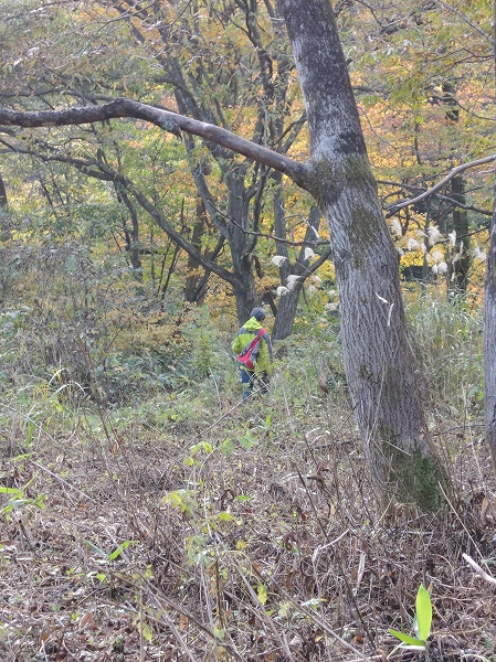 20131127-17.jpg