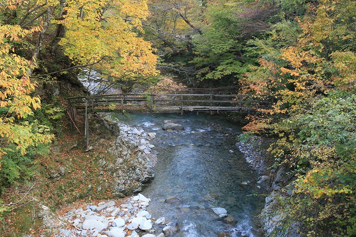 20131127-19.jpg