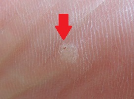 20131127-23.jpg