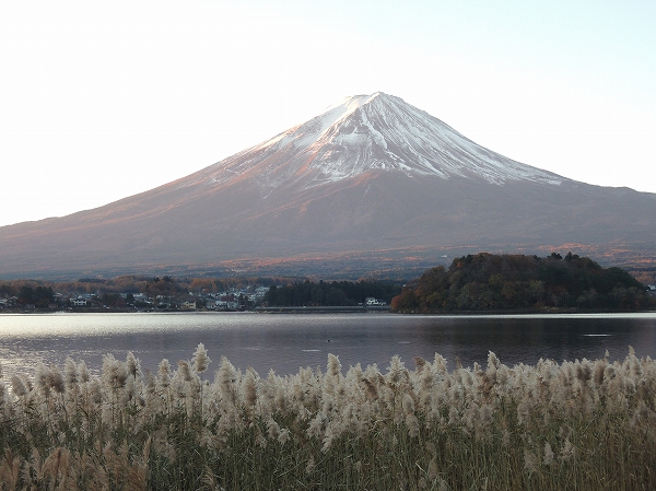 20131203-1.jpg