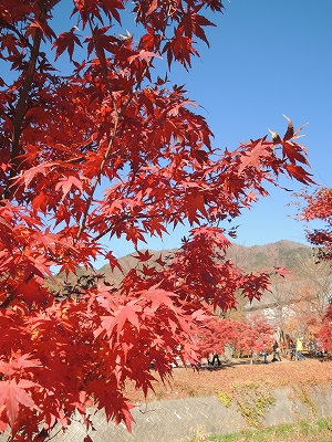 20131203-16.jpg