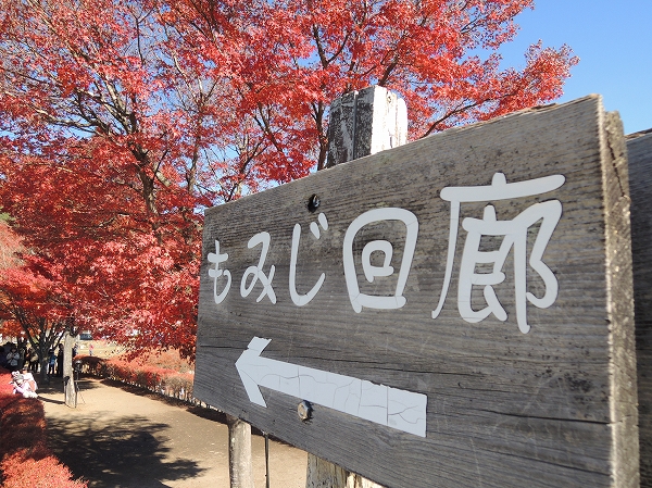 20131203-19.jpg