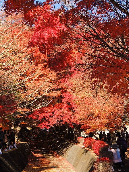 20131203-20.jpg