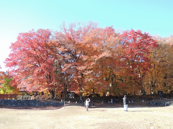 20131203-22.jpg