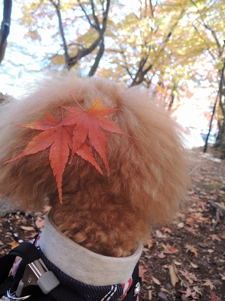20131203-23.jpg