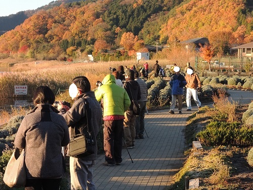 20131203-4.jpg