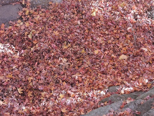 20131203-22 (2)