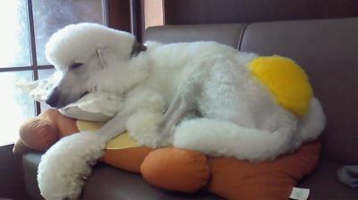 tono08_convert_20120124180333.jpg