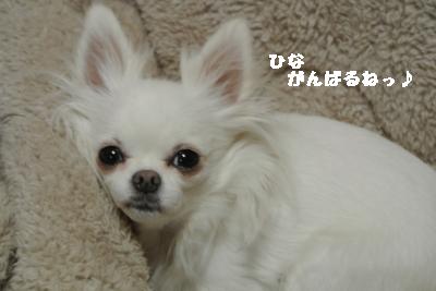 20120125+001_convert_20130125231833.jpg