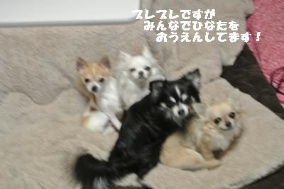 20120125+003_convert_20130125231505.jpg