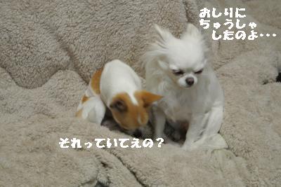 20120125+005_convert_20130125231628.jpg