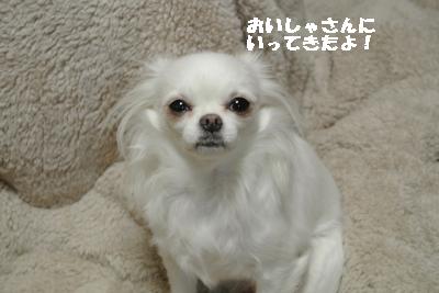 20120125+006_convert_20130125231337.jpg
