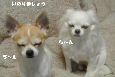 20120125+007_convert_20130125231731.jpg