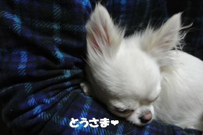 20130111+021_convert_20130111103951.jpg