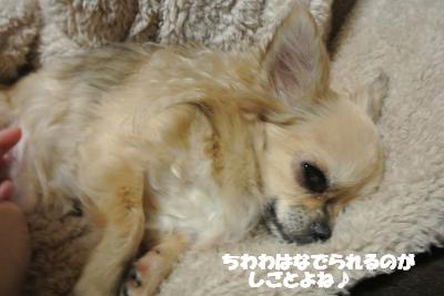 20130125+005_convert_20130128104333.jpg