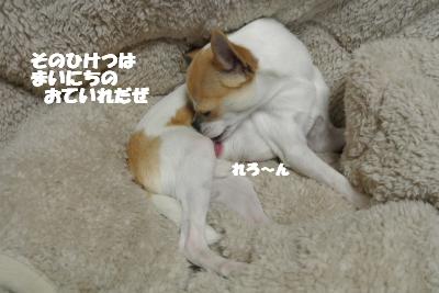 20130125+014_convert_20130125145635.jpg