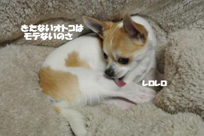 20130125+016_convert_20130125145705.jpg
