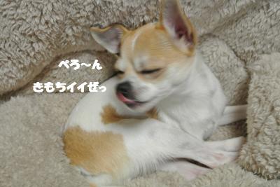 20130125+018_convert_20130125145921.jpg