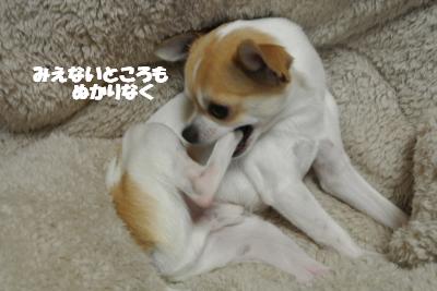 20130125+019_convert_20130125145801.jpg