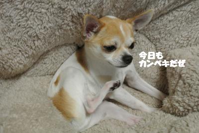 20130125+025_convert_20130125150020.jpg