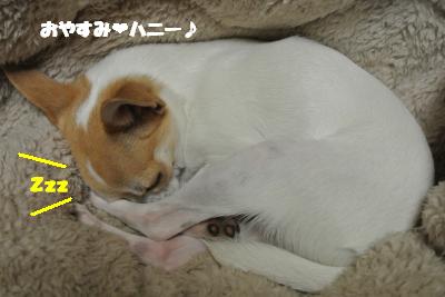 20130125+027_convert_20130125150121.jpg