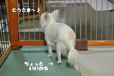 20130126+005_convert_20130126233302.jpg