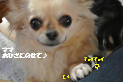 20130128+005_convert_20130128103636.jpg