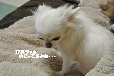 20130129+010_convert_20130129093803.jpg