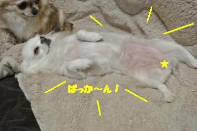 20130129+011_convert_20130129093840.jpg