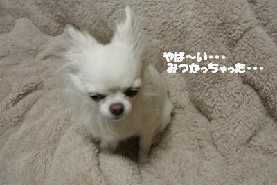 20130129+013_convert_20130129093707.jpg