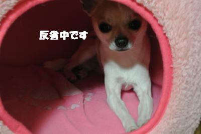 20130129+016_convert_20130129093958.jpg