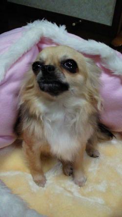 縺。繧上o+028_convert_20130123161541