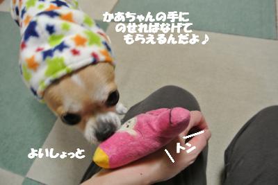 20130131+013_convert_20130131103011.jpg