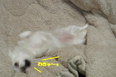 20130131+015_convert_20130131133637.jpg