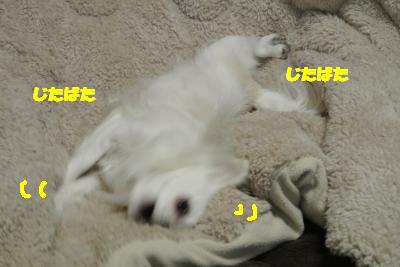 20130131+016_convert_20130131133701.jpg