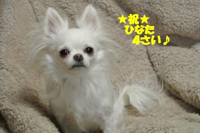 20130131+018_convert_20130131142822.jpg