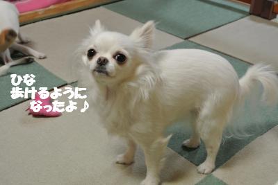 20130131+025_convert_20130131142743.jpg
