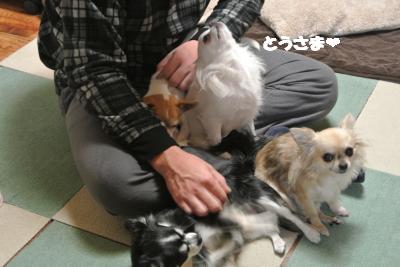 20130131+026_convert_20130131133923.jpg