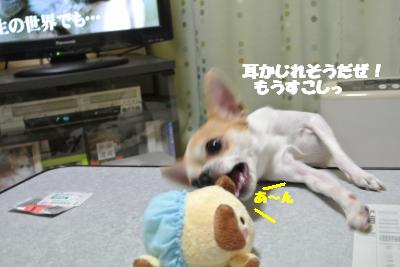 20130204+014_convert_20130205152248.jpg