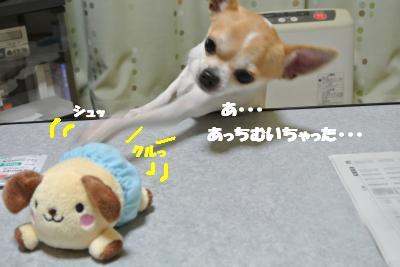 20130204+017_convert_20130205152427.jpg