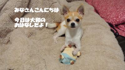 20130208+001_convert_20130208102241.jpg