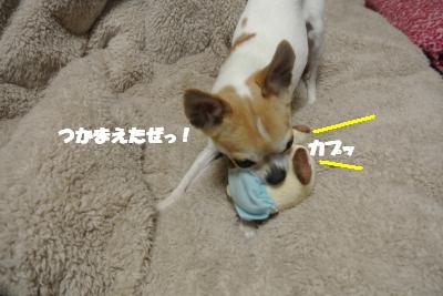 20130208+002_convert_20130208102315.jpg