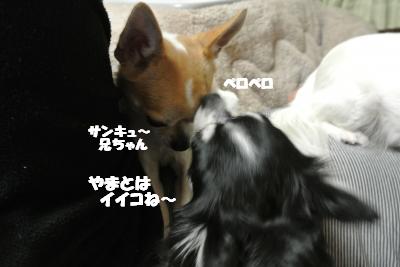 20130208+006_convert_20130208144505.jpg