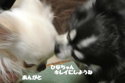 20130208+022_convert_20130208144437.jpg