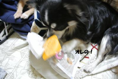20130212+002_convert_20130212100428.jpg